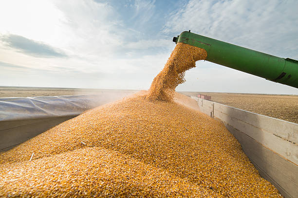 Seeds and Machinery